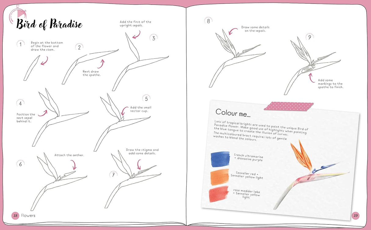 10-Minutes Sketching: Botanicals Book