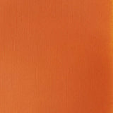 Liquitex Basics Acrylic 118ml - Cadmium Red Light Hue