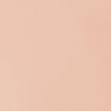 Liquitex Basics Acrylic 118ml - Light Portrait Pink