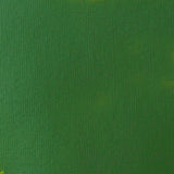 Liquitex Basics Acrylic 118ml - Hooker's Green Hue