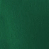 Liquitex Basics Acrylic 118ml - Green Deep Permanent