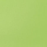 Liquitex Basics Acrylic 118ml - Brilliant Yellow Green