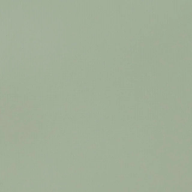 Liquitex Basics Acrylic 118ml - Green Grey