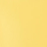 Liquitex Basics Acrylic 118ml - Naples Yellow