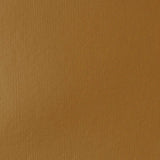 Liquitex Basics Acrylic 118ml - Raw Sienna