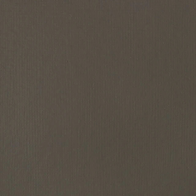 Liquitex Basics Acrylic 118ml - Raw Umber