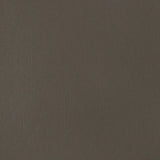 Liquitex Basics Acrylic 118ml - Raw Umber