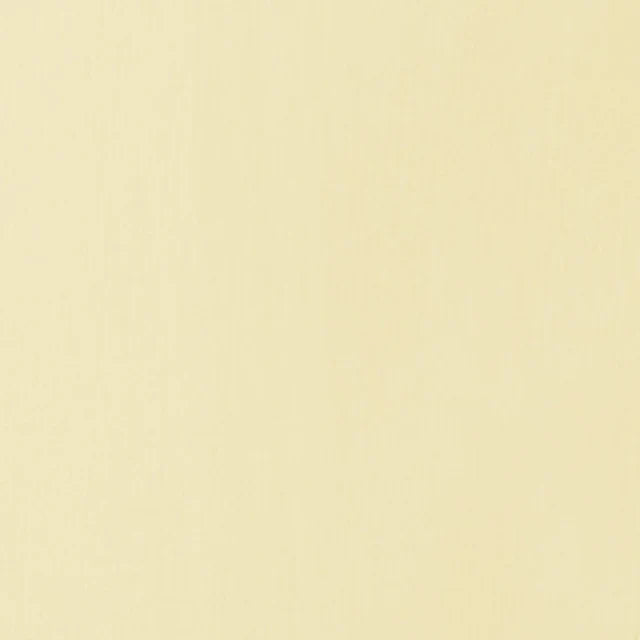 Liquitex Basics Acrylic 118ml - Parchment