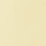 Liquitex Basics Acrylic 118ml - Parchment