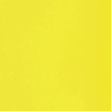 Liquitex Basics Acrylic 118ml - Fluorescent Yellow