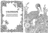 Art Therapy - A Mindfulness Colouring Book