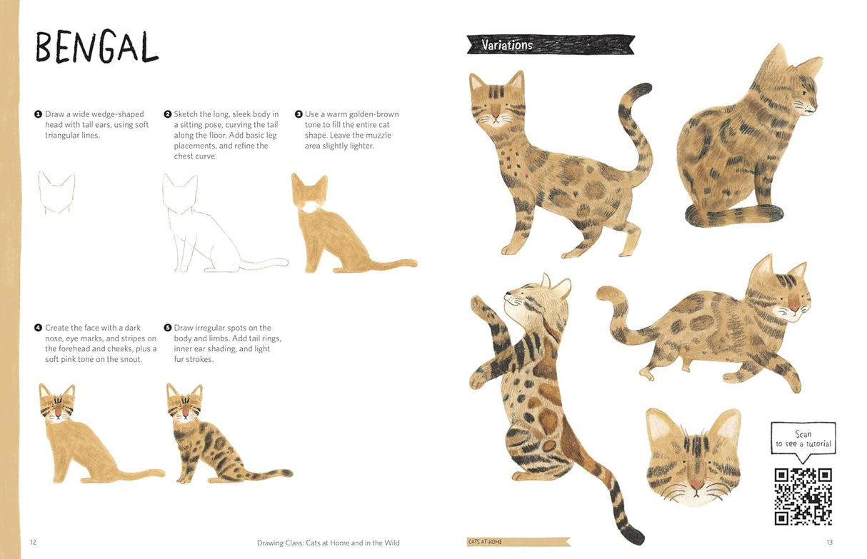 Drawing Class: Cats at Home and in the Wild Book