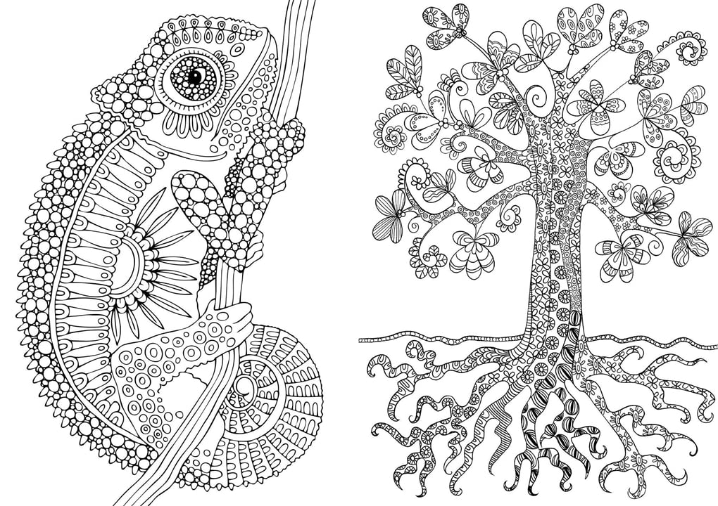 Art Therapy - A Mindfulness Colouring Book