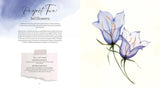 How to Paint Transparent Watercolour Flowers Book