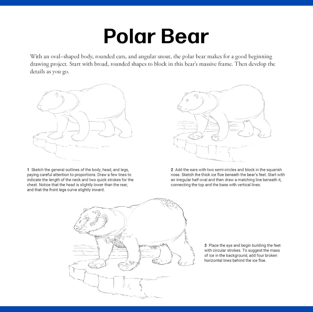 Quick Start Drawing - Animals Book