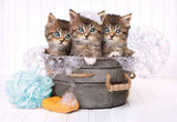 Clementoni Lovely Kittens Supercolor  180-piece Puzzle for Children 