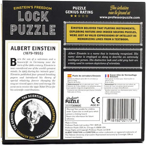 Professor Puzzle The Einstein Collection Lock Puzzle | Art & Hobby