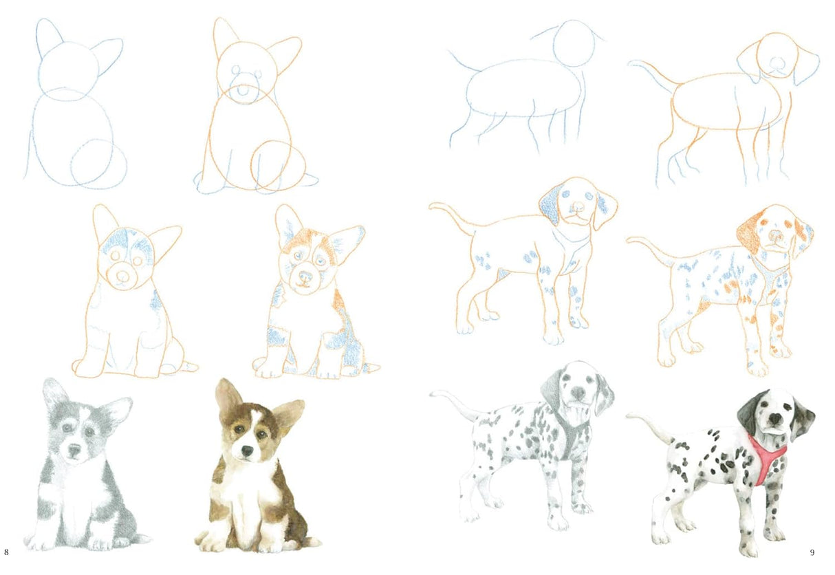 How to Draw: Puppies Book by Susie Hodge
