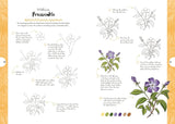 10 Step Drawing: Botanicals Book