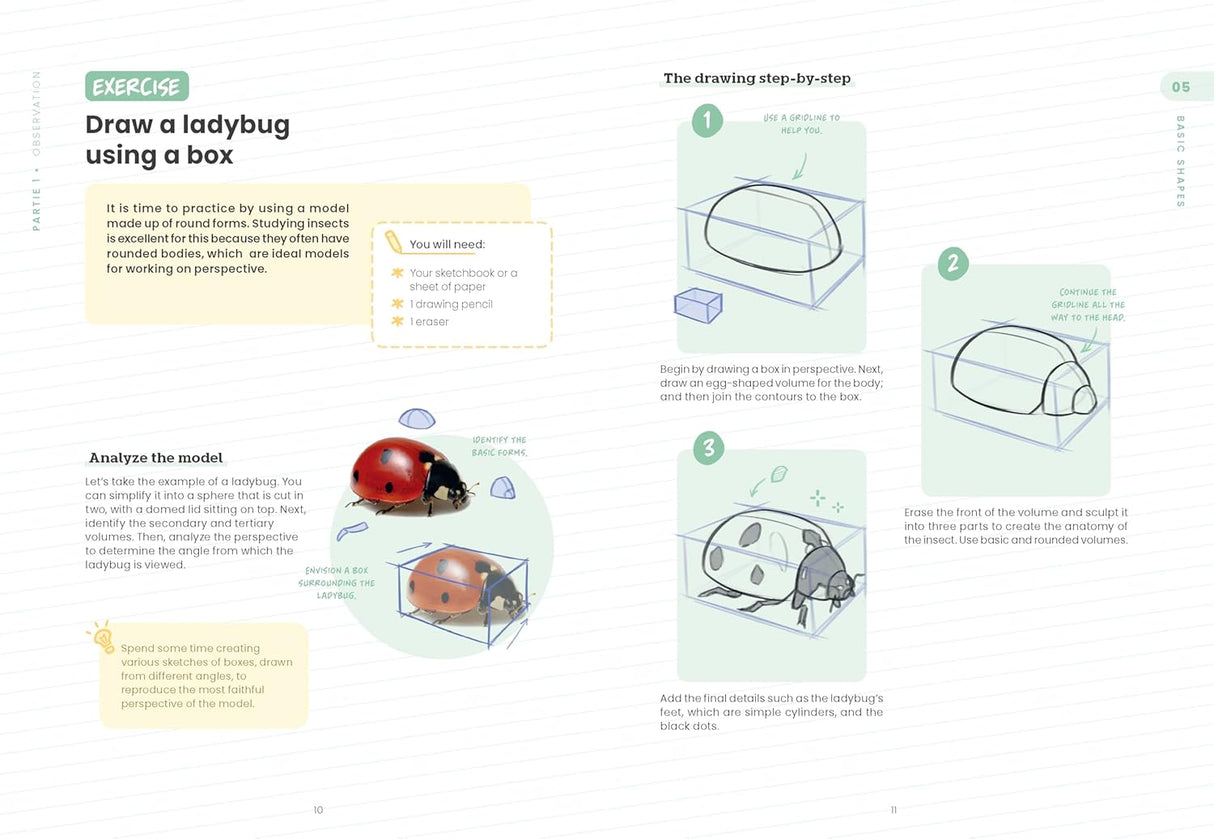 Learn To Draw Anything Book