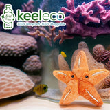 Keeleco Starfish 25cm