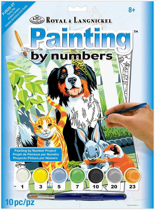 Paint By Numbers Junior Small - Family Pets