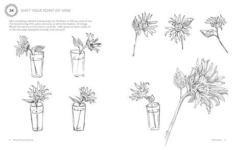 Pocket Prompts: Drawing Book