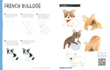 Drawing Class: Cats at Home and in the Wild Book