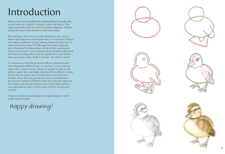 How to Draw: Baby Animals Book