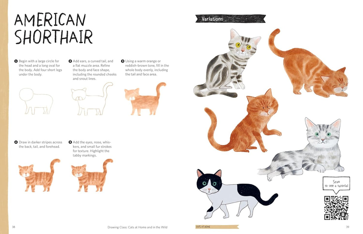 Drawing Class: Cats at Home and in the Wild Book