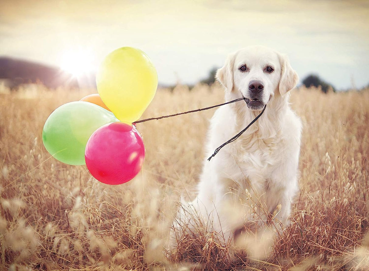 Balloon Party 500 Piece Jigsaw Puzzle