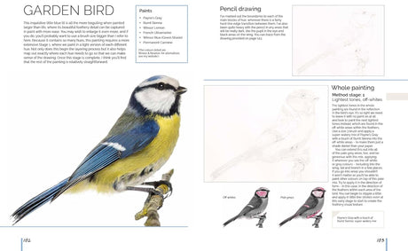 Anna Manson's Watercolour World Softcover Book