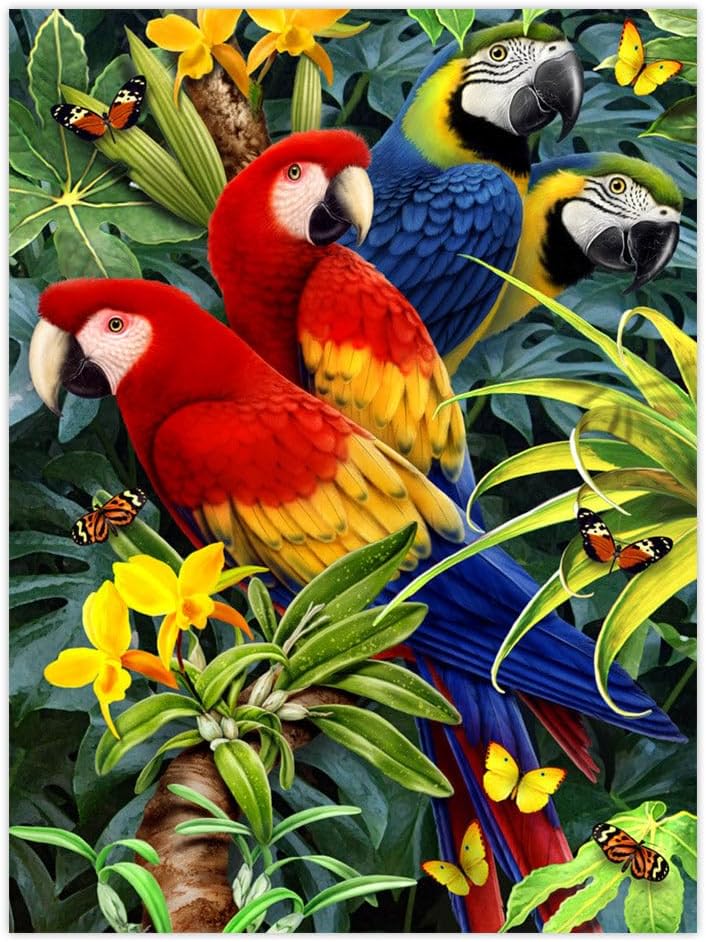 Paint By Numbers Junior Small - Jungle Box Set of 4