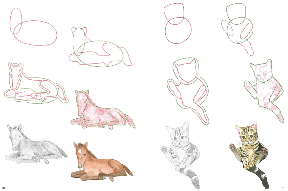 How to Draw: Baby Animals Book