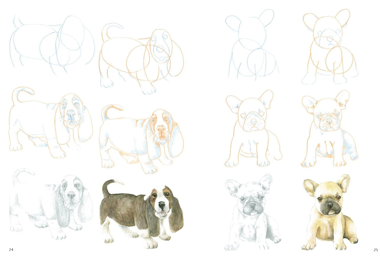 How to Draw: Puppies Book by Susie Hodge