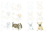 How to Draw: Puppies Book by Susie Hodge