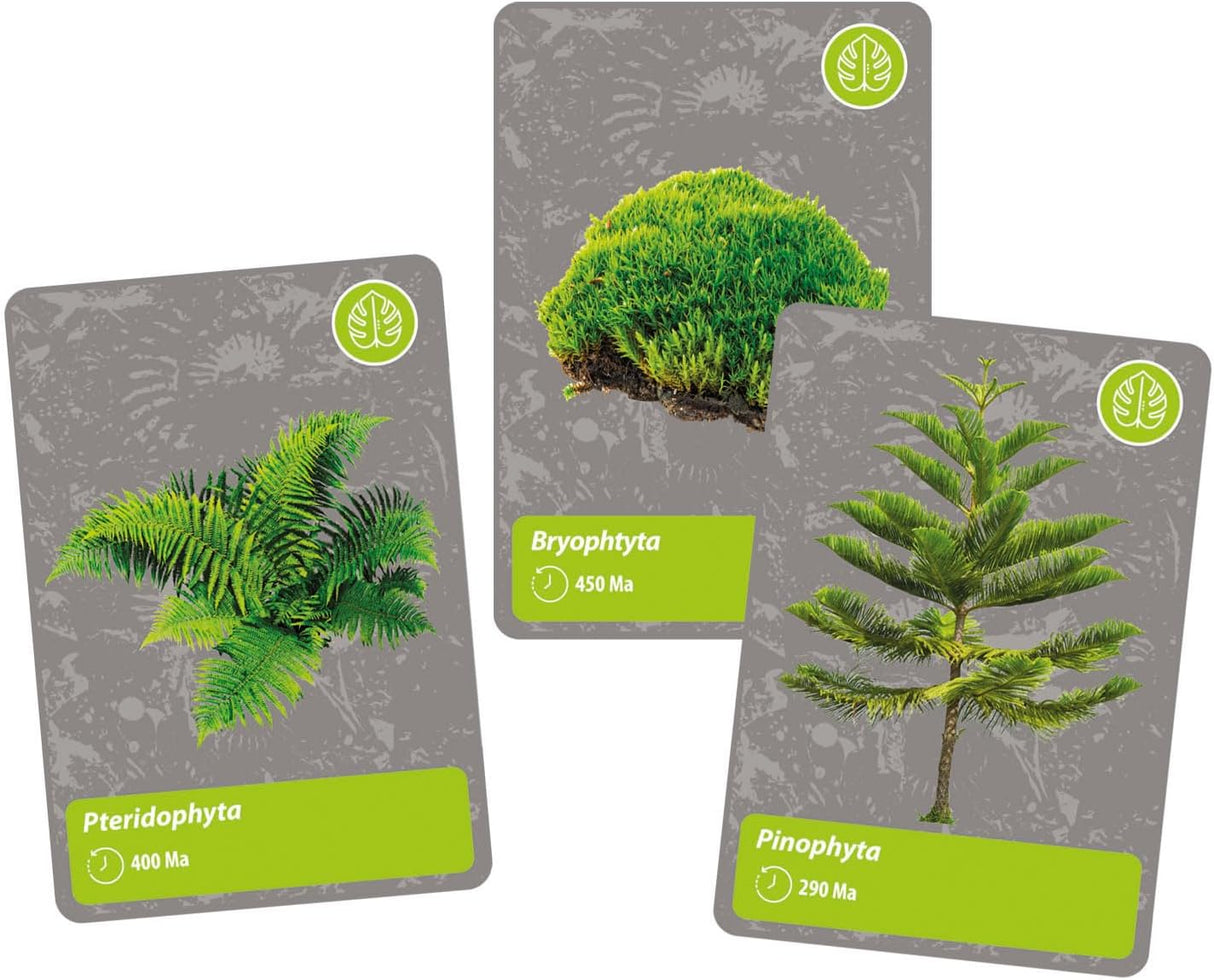 Science & Play - History of Life On Earth