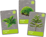 Science & Play - History of Life On Earth