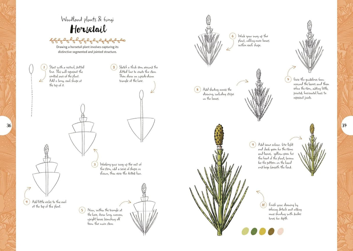 10 Step Drawing: Botanicals Book