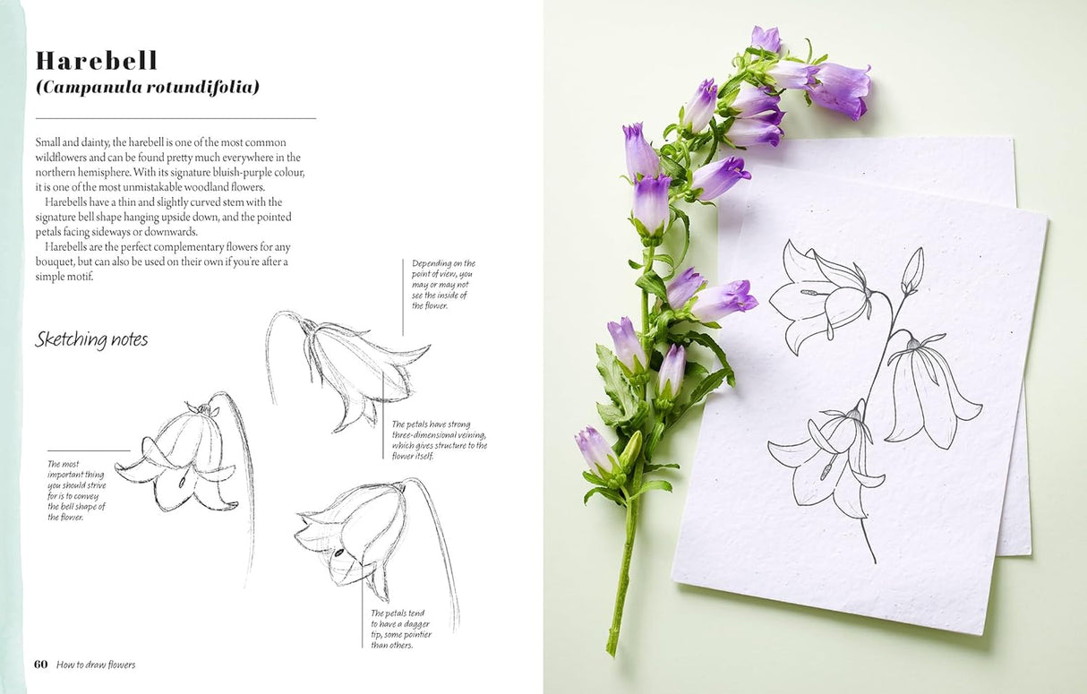 The Kew Book of Drawing Flowers Book