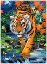 Paint By Numbers Junior Small - Jungle Box Set of 4