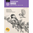 Drawing Birds: Learn to Draw Step by Step