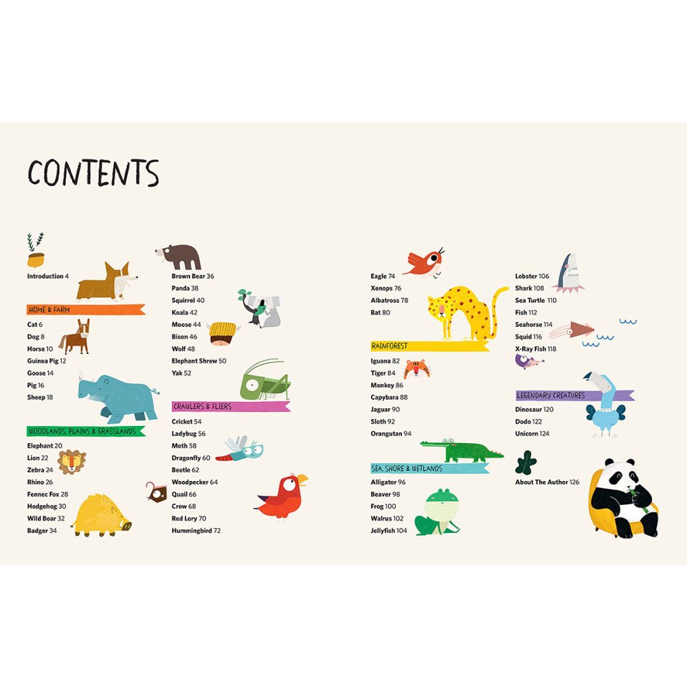 Drawing Class: Animals Book