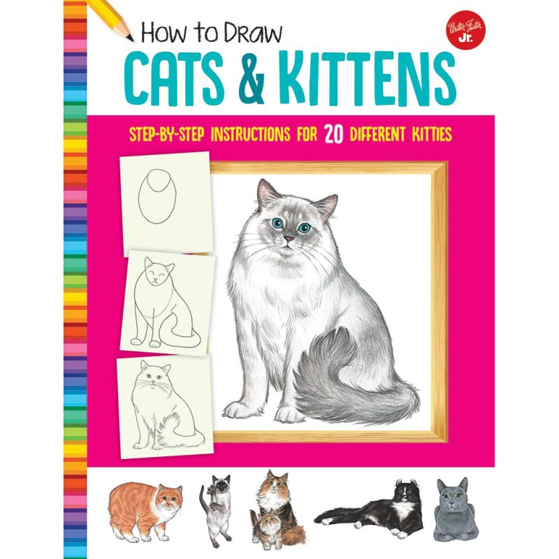 How To Draw: Cats & Kittens Book