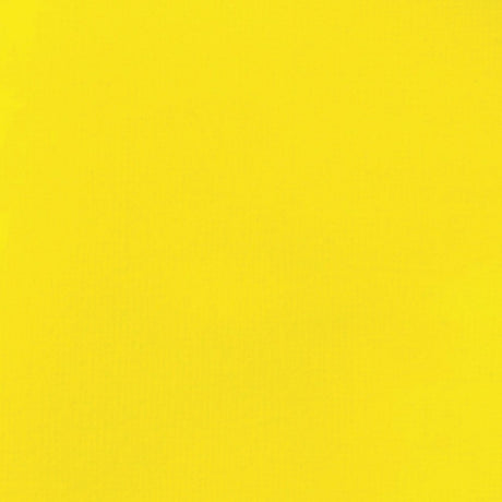 Liquitex Basics Acrylic Fluid Paint - Primary Yellow S1