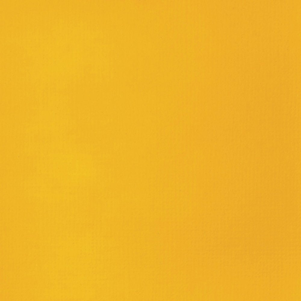 Liquitex Basics Acrylic Fluid Paint - Cadmium Yellow Deep Hue