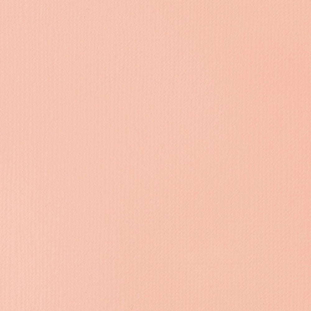Liquitex Basics Acrylic Fluid Paint - Light Pink S1