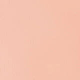 Liquitex Basics Acrylic Fluid Paint - Light Pink S1