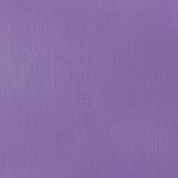 Liquitex Basics Acrylic Fluid Paint - Brilliant Purple S1