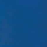 Liquitex Basics Acrylic Fluid Paint - Primary Blue S1